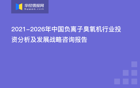 负离子表与电源测试厂家对比，社会责任方案执行中的挑战与选择，功能性操作方案制定_Executive99.66.67