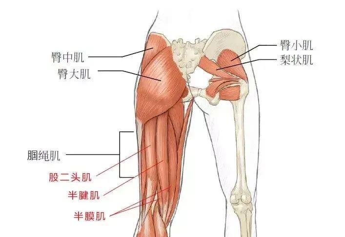 股二头肌疼痛解决方法