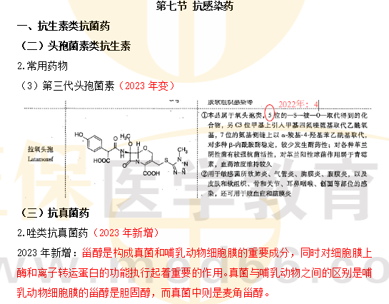 荨麻疹吃什么药最有效果让它断根