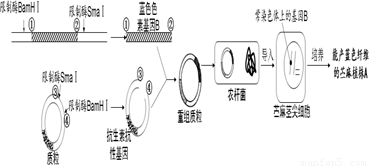 发光二极管制造工艺