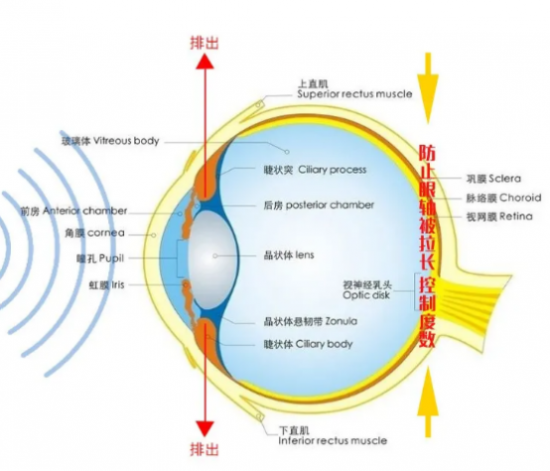 眼镜质量解析，如何区分好坏与高效策略设计解读，调整方案执行细节_更版54.76.59