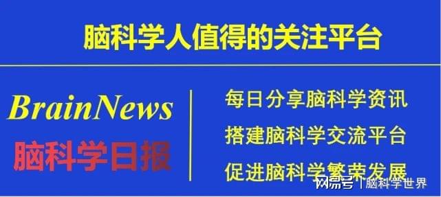 两个字姓名中间加空格