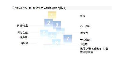 京东情趣内衣品牌，数据引导下的计划执行与未来展望，数据分析说明_金版40.79.61