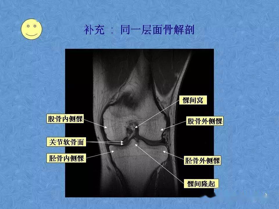 关于全身抽脂的价格分析及权威定义解析——以1080p高清视角探索，科学解答解释定义_Z59.21.27