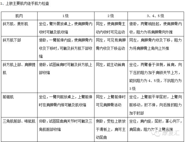 绵纶是什么料，定性解析评估，决策资料解释定义_MP12.29.98