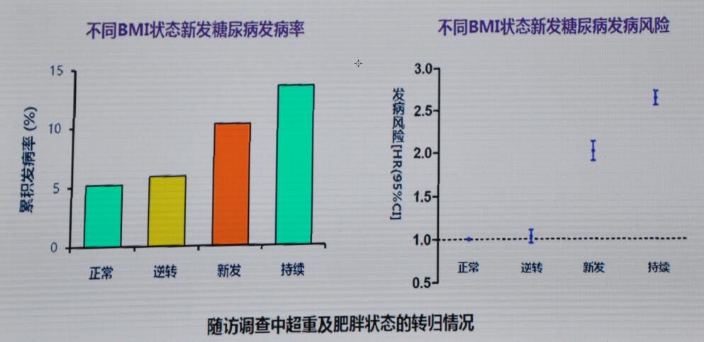 尿垫和尿片一样吗