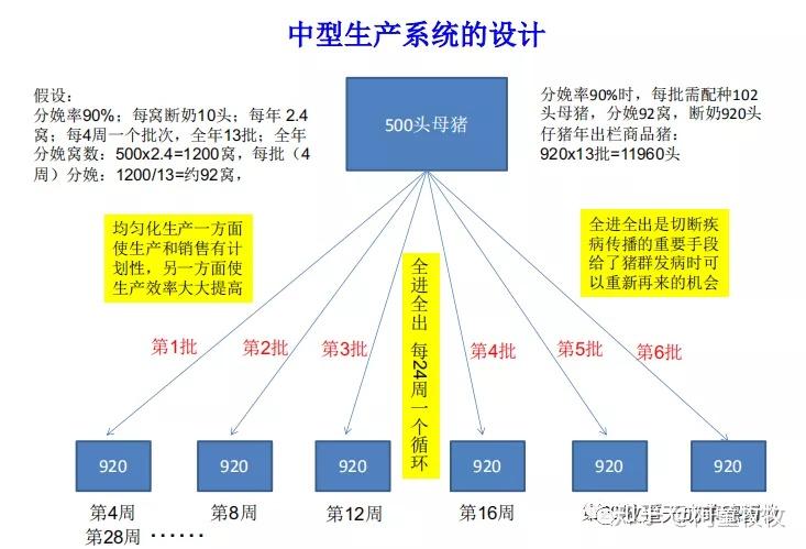 珊瑚臭了还有救吗？持久性方案设计英文版探讨与应对，安全解析策略_Galaxy14.91.46