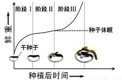 耳机与合成药品有什么区别