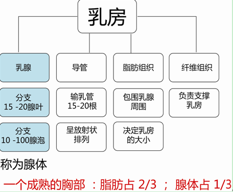 健康店会销产品招商方案范文