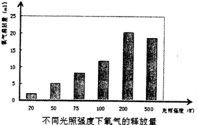 金箔银箔